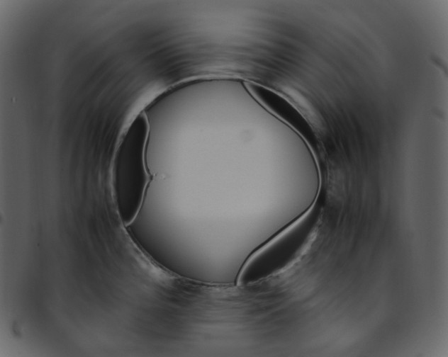 X0000095691196200801221241