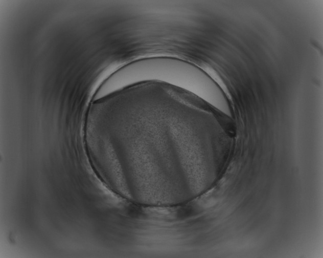 X0000095691197200801221241