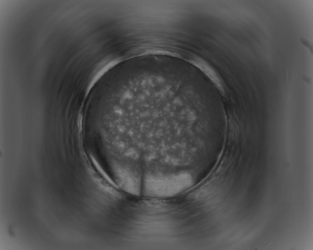 X0000095691198200801221241