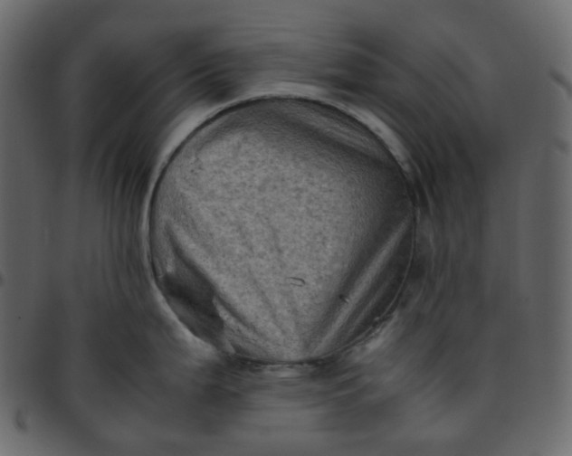 X0000095691199200801221241