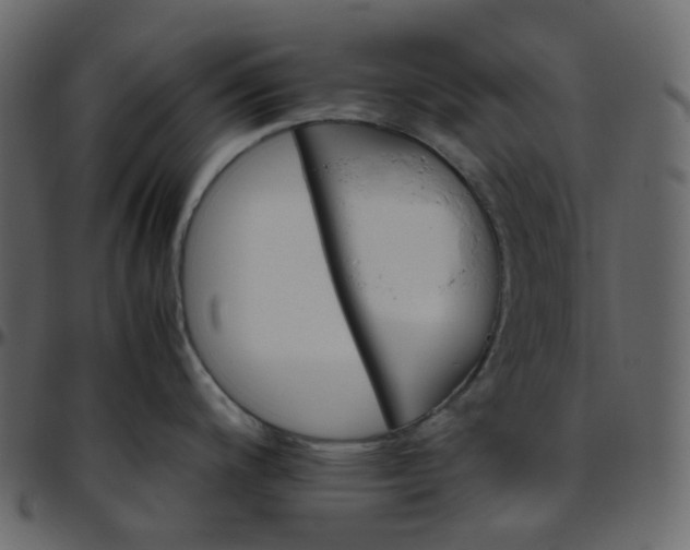 X0000095691200200801221241