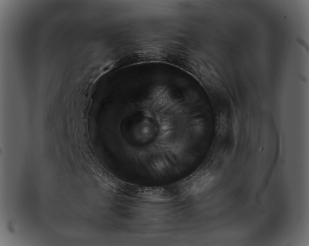 X0000095691201200801221240