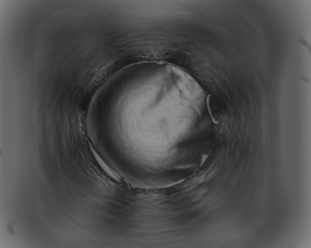 X0000095691202200801221240