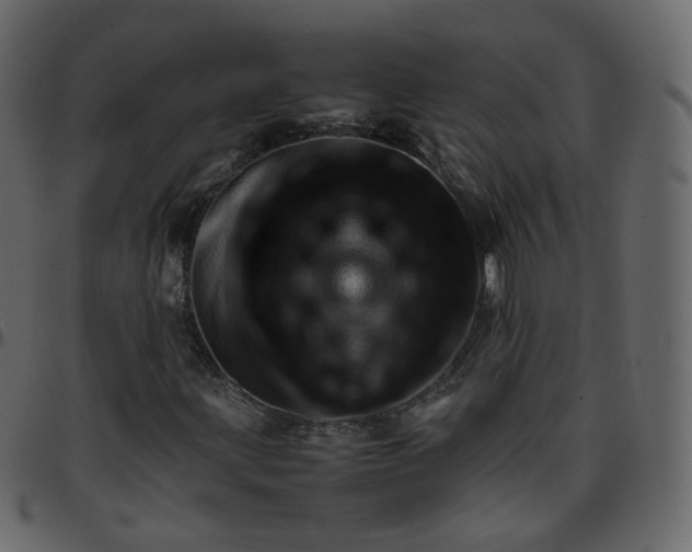 X0000095691203200801221240