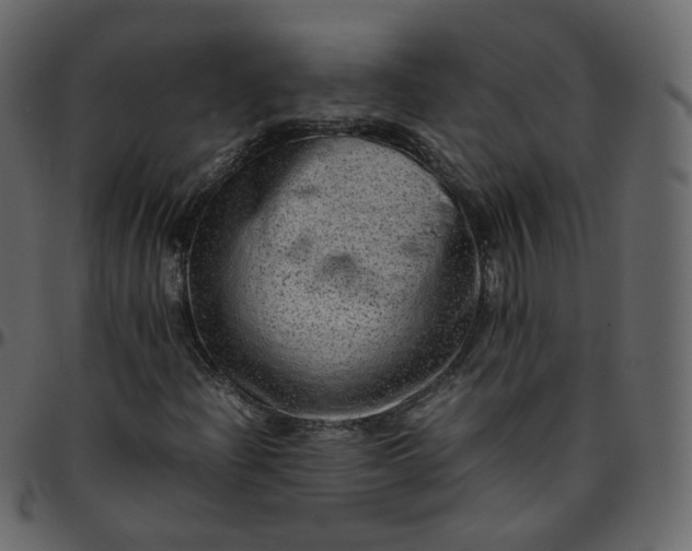 X0000095691204200801221240