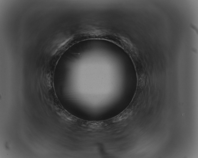 X0000095691205200801221240