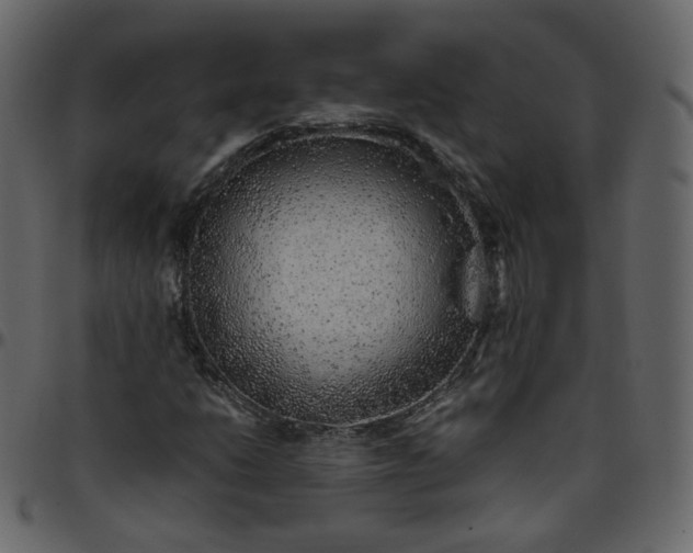 X0000095691206200801221240