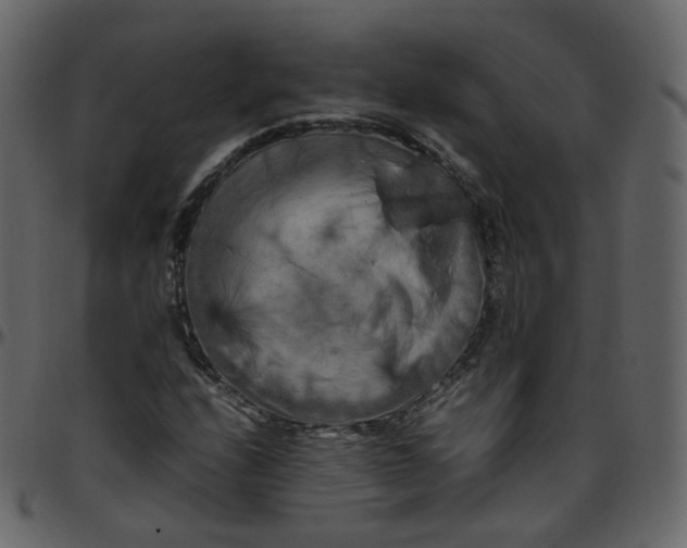 X0000095691208200801221240