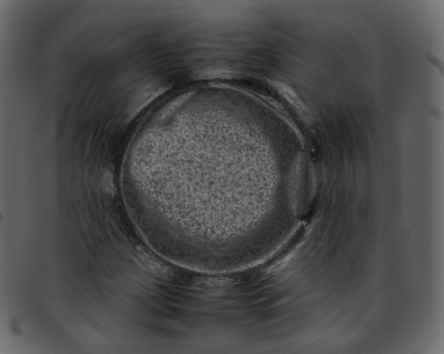 X0000095691209200801221240