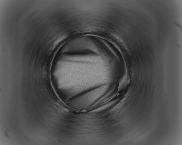 X0000095691210200801221240