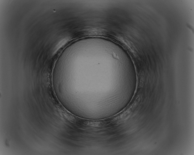 X0000095691211200801221240