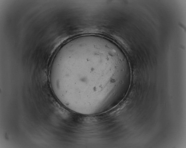 X0000095691212200801221240