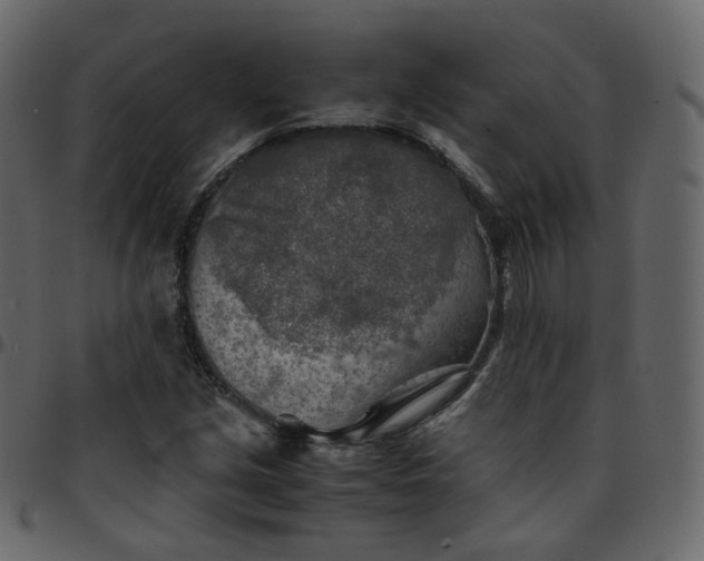 X0000095691213200801221240