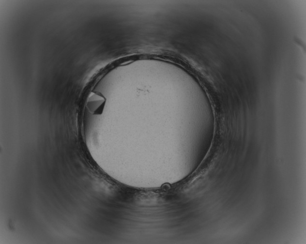 X0000095691214200801221240