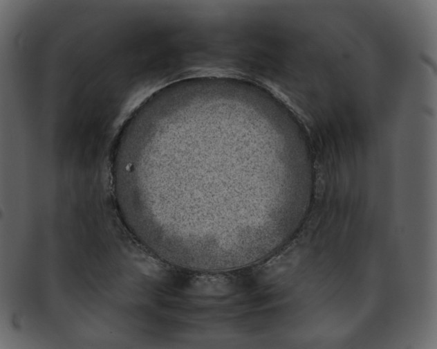 X0000095691215200801221240