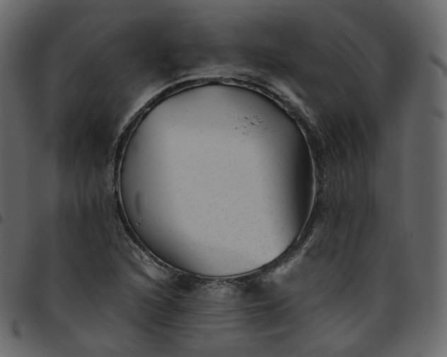 X0000095691216200801221240