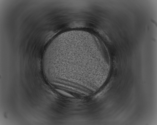 X0000095691217200801221240