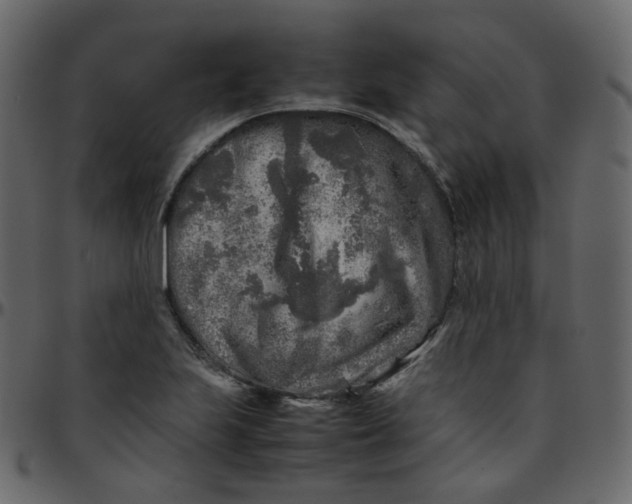 X0000095691223200801221240