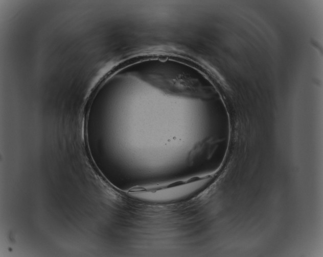 X0000095691224200801221240