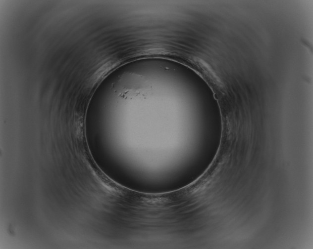 X0000095691225200801221240