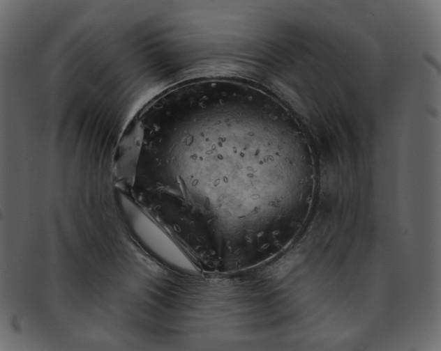 X0000095691226200801221240