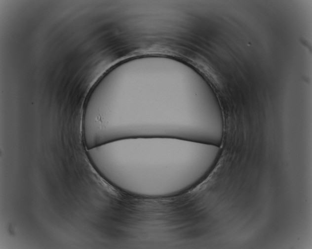 X0000095691228200801221240