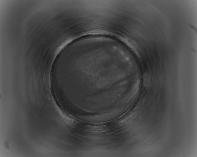 X0000095691229200801221240