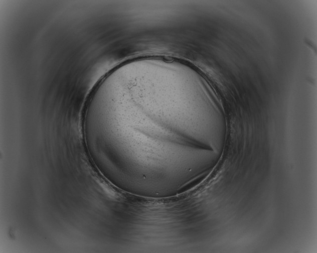 X0000095691230200801221240