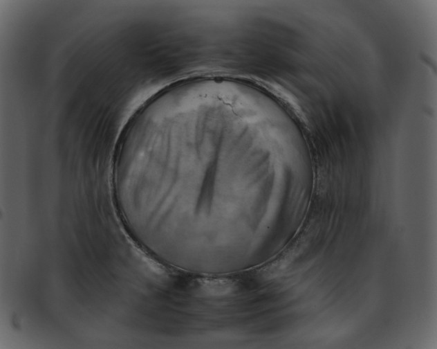 X0000095691231200801221240