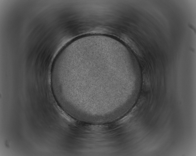 X0000095691232200801221240