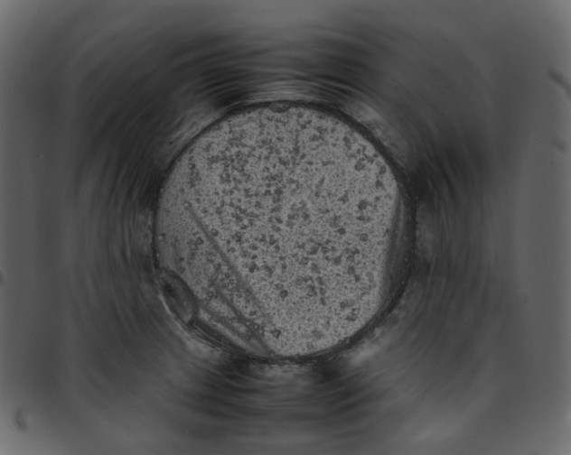 X0000095691233200801221240