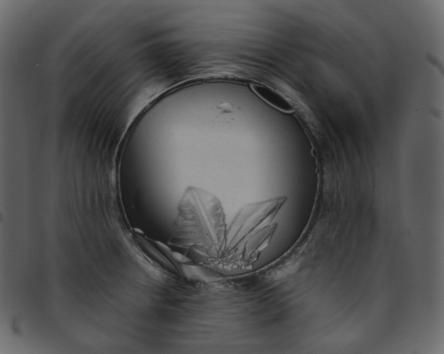 X0000095691234200801221240