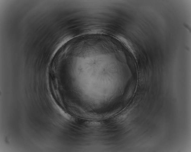 X0000095691235200801221240