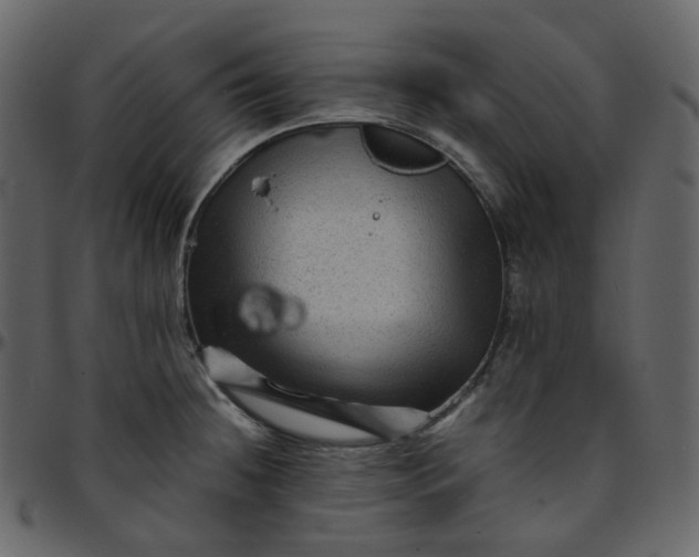 X0000095691236200801221241