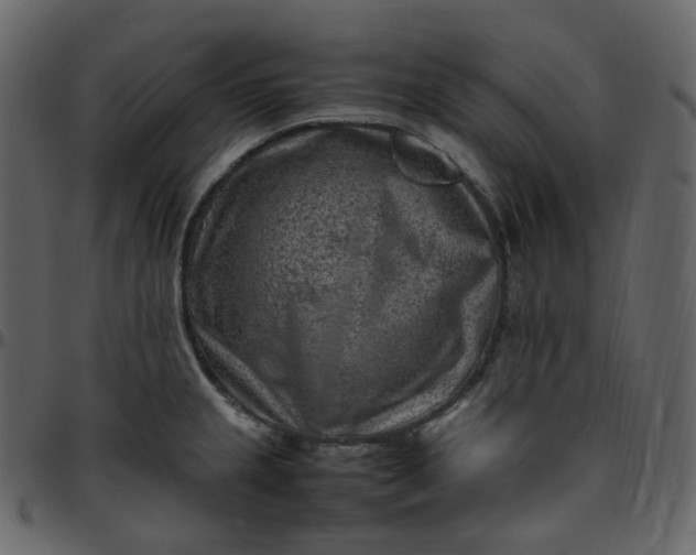 X0000095691237200801221241