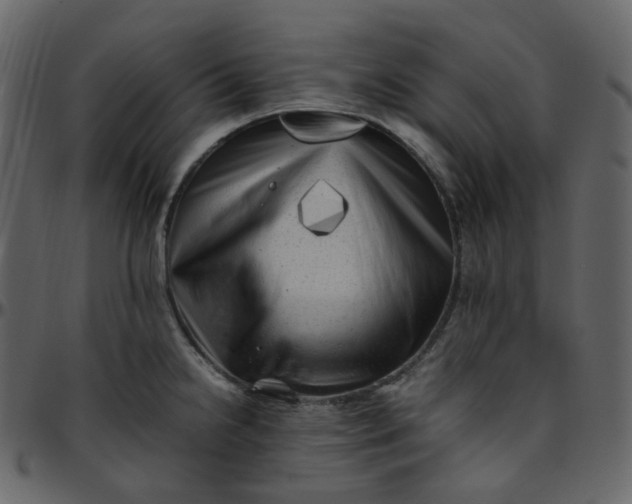 X0000095691238200801221241