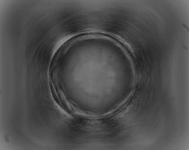 X0000095691239200801221241