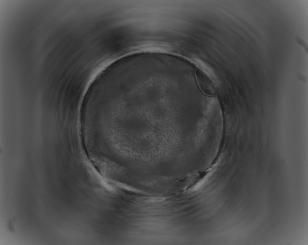 X0000095691240200801221241