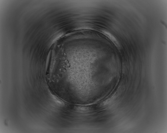 X0000095691241200801221241