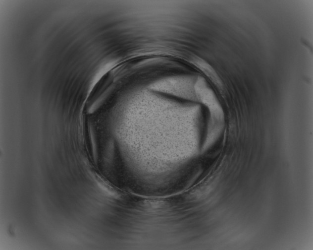 X0000095691242200801221241