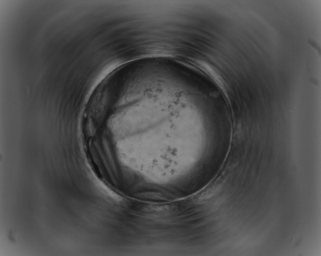 X0000095691243200801221241