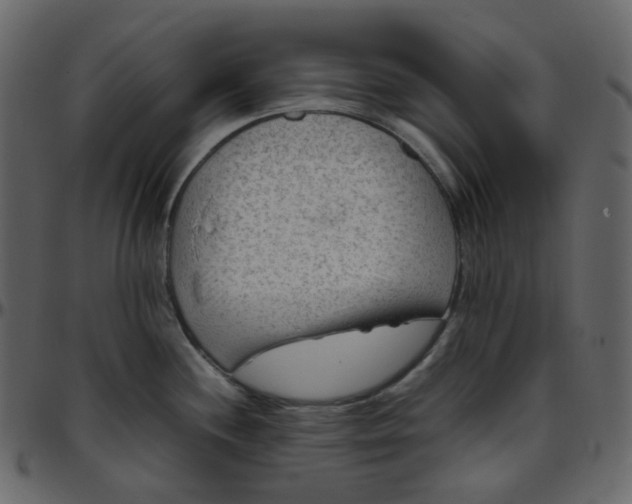 X0000095691244200801221241