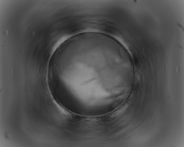 X0000095691245200801221241