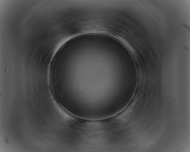 X0000095691246200801221241