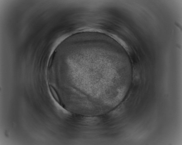 X0000095691247200801221241