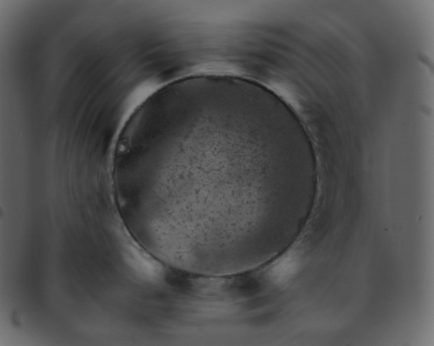 X0000095691248200801221241