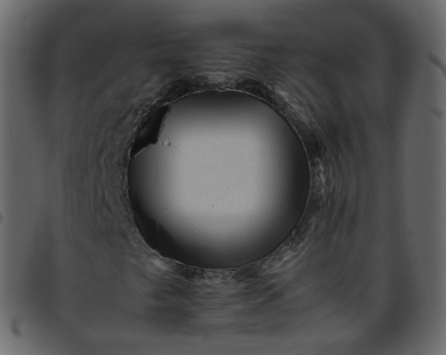 X0000095691249200801221240