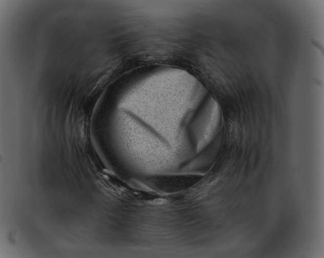 X0000095691250200801221240