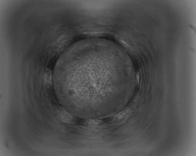 X0000095691251200801221240