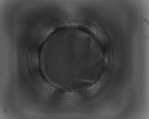 X0000095691252200801221240